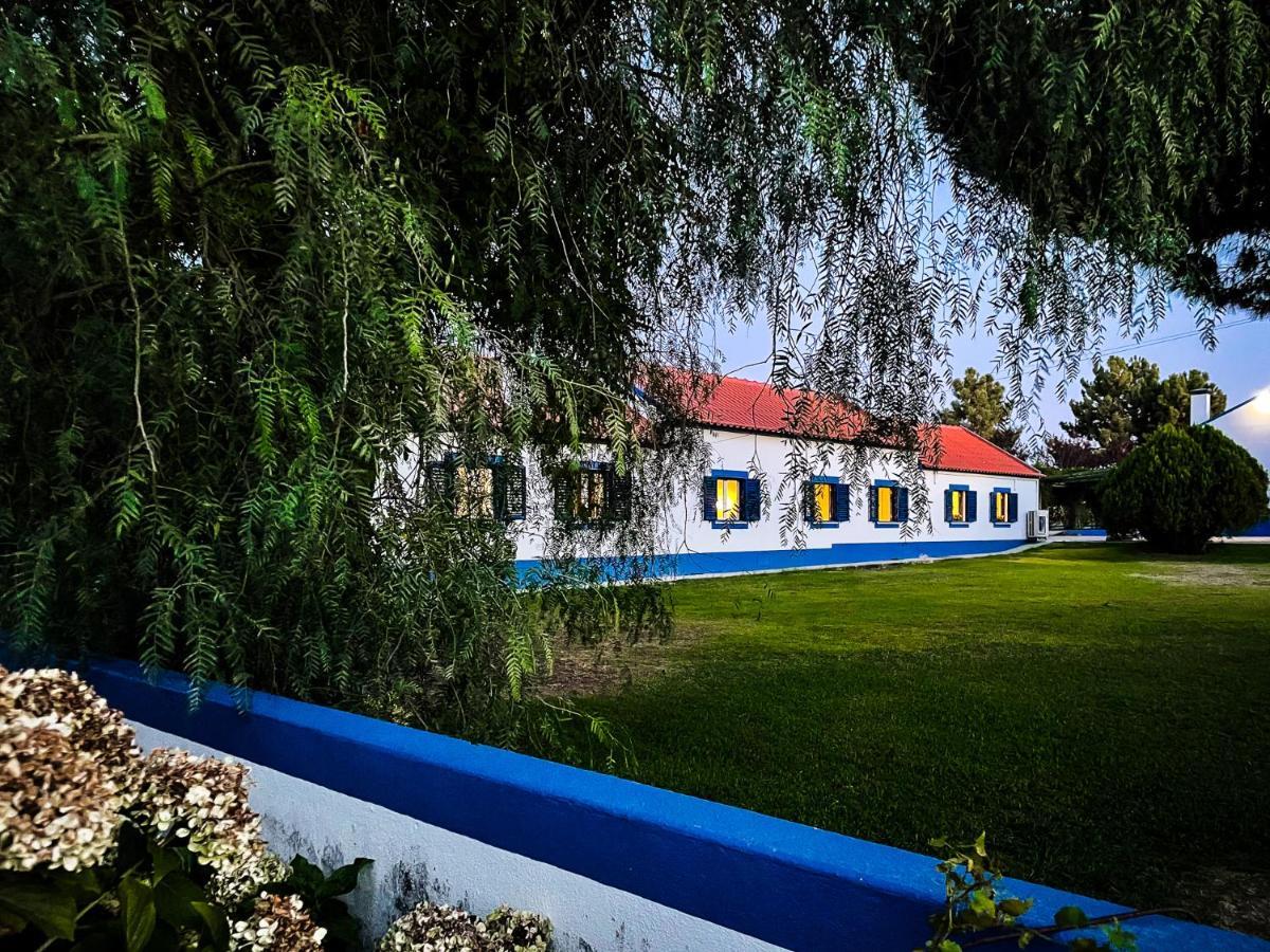Quinta Do Cutato - Beatriz Guest House - Sotao Santo Estevao  Экстерьер фото