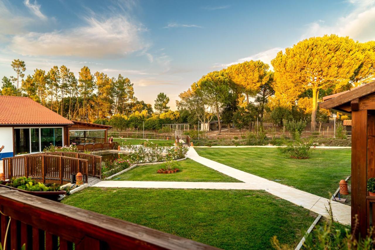Quinta Do Cutato - Beatriz Guest House - Sotao Santo Estevao  Экстерьер фото
